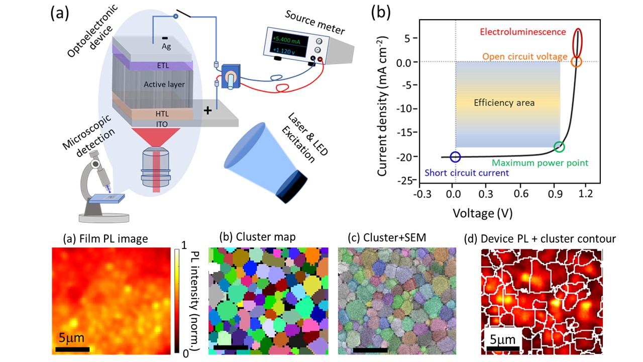 CLIM concept: widefield photoluminescence movie of a perovskite film segmented into correlation clusters matching the grain microstructure observed in SEM