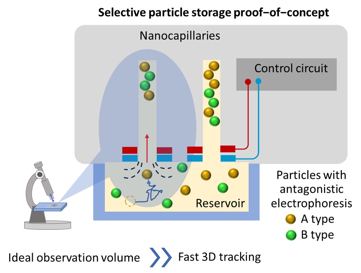 FastComet colloidal memory concept: two nanoparticle types sorted into nanocapillaries by dielectrophoretic forces from gate electrodes, monitored by multiplane optical microscopy