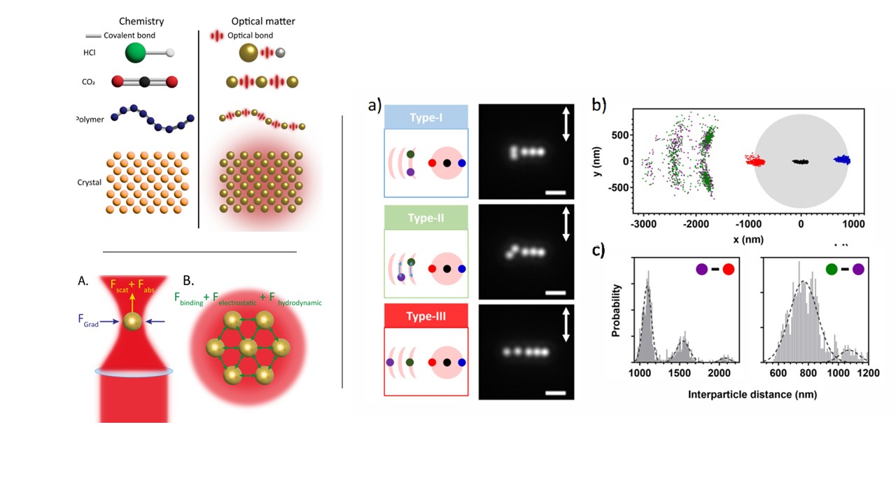Optical matter: gold nanoparticles self-assembling outside the laser focus via optical binding at a glass-water interface